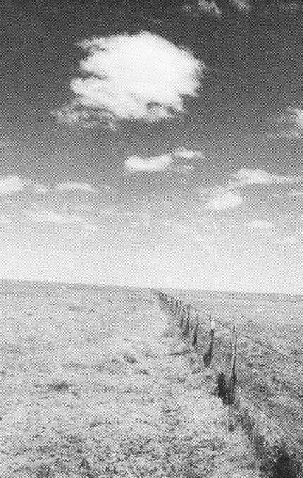 THE BORDER: The Queensland and Norther Territory divison fence. 