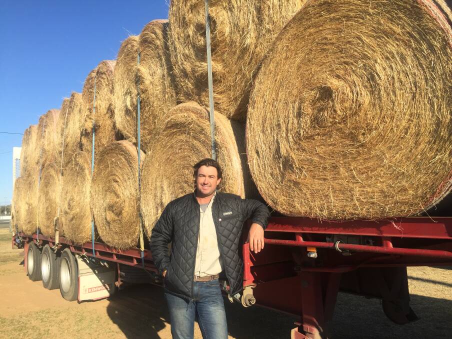 Hay, thanks for helping: Croc wrangler Matt Wright was at the Dubbo Showgrounds for the drought relief telethon. Photo: Taylor Jurd.  