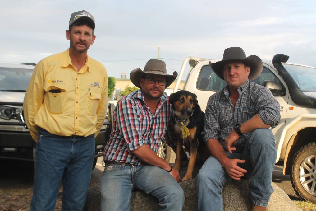 Ray White Gary Wendt, vendor Tim Flynn, Wildcard Working Dogs with Day's Creek Bongo who sold for $10,000 to buyer Grant Jefferis, Cloncurry. 