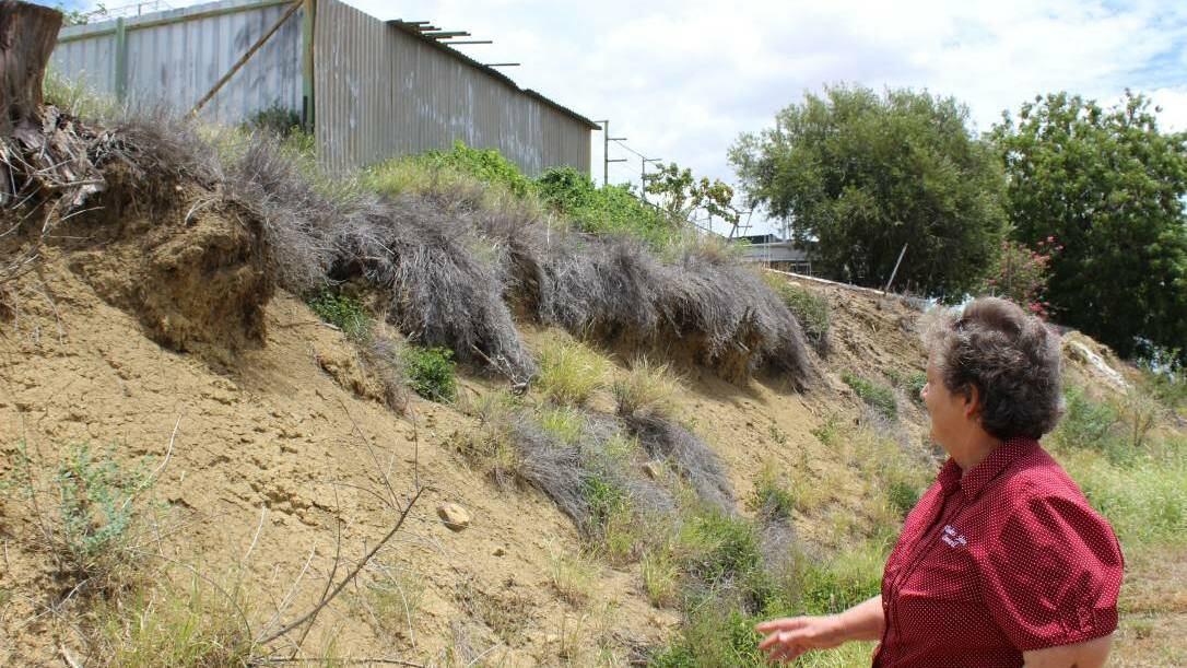 EROSION: Mayor Jane McNamara points out the damage of the Flinders riverbanks in Hughenden to be fixed by the Works for Queensland grant. Photo: Samantha Walton.