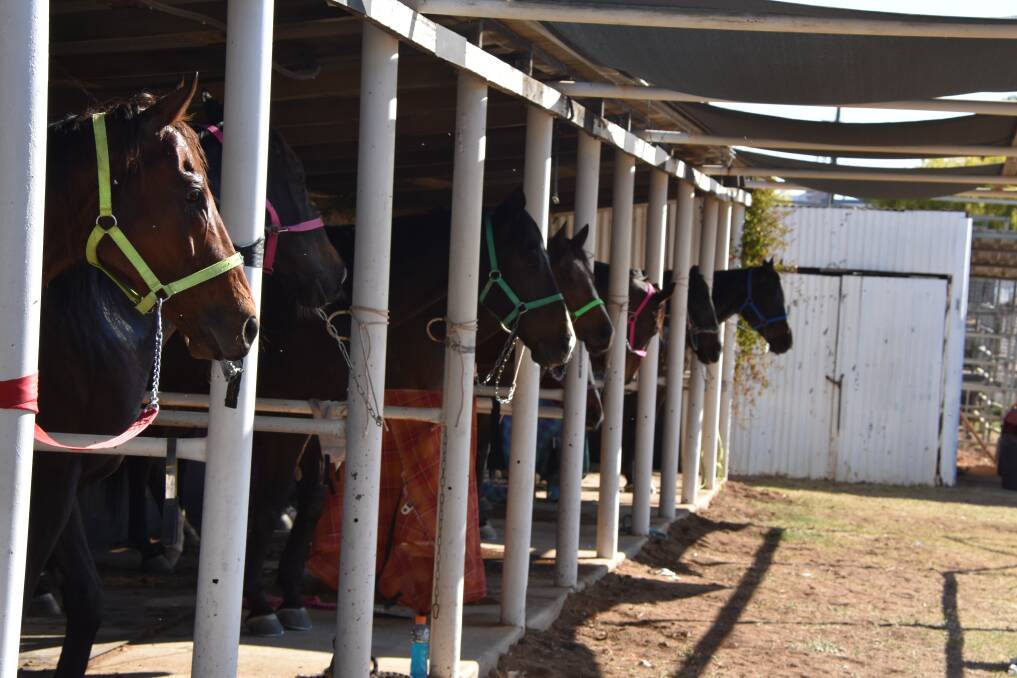 Racing Queensland said some parts of the state are experiencing a shortage of jockeys and other racing roles.