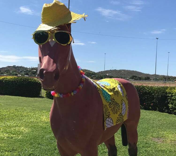 Mount Isa Race Club readys for the start of its social season this Saturday.