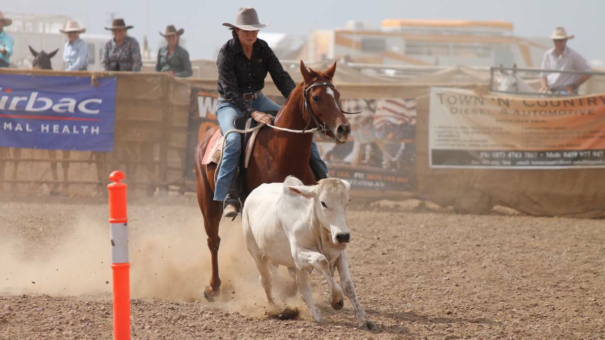 More than 1100 first round nominations for this weekend's campdraft in Camooweal.