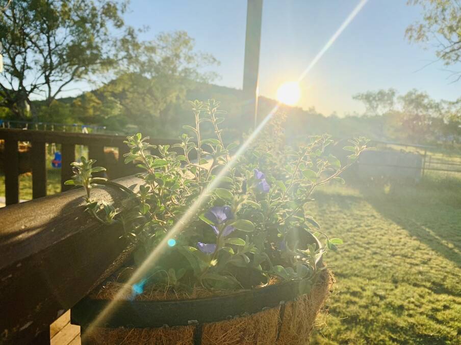 Weather for Easter is predicted to be warm and sunny this year, as people celebrate in isolation. Photo: Samantha Campbell