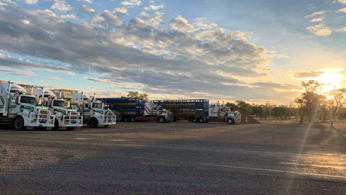 Regular travelling cattle trucks could be impacted if the Burke and Wills Roadhouse restrict business hours. Photo supplied.