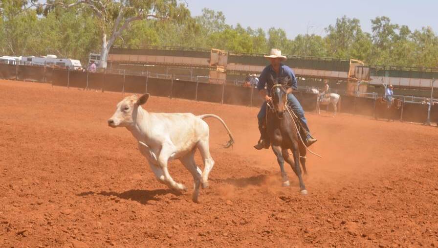 Dajarra Campdraft and Rodeo has been cancelled in 2020.