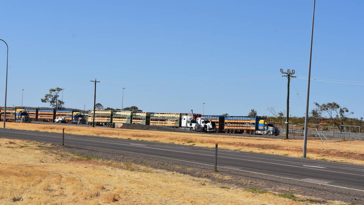 ROLL UP: An abundance of trucks pull up the the Cloncurry Heavy Rest Area. Photo: Samantha Campbell.