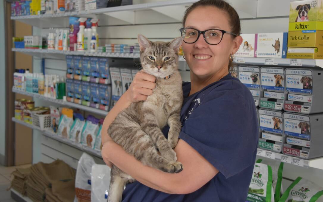 JOB: North West Vet Clinic owner and veterinarian Katelyn Stretton said she had advertised a veterinarian position since March 2019. Photo: Samantha Campbell.