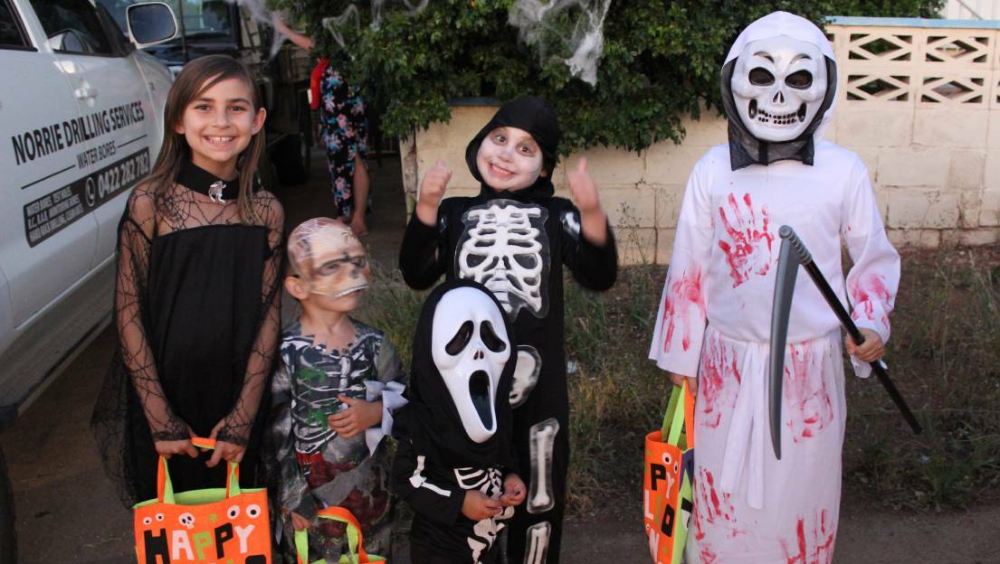 Halloween outfits in Mount Isa in past years.