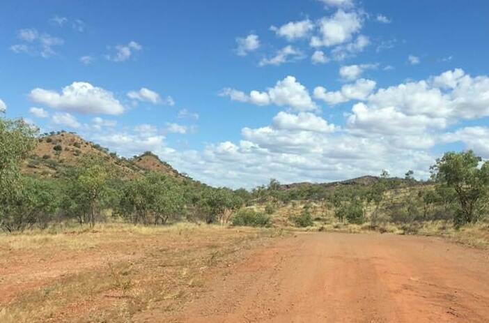 A horse has allegedly been shot south of Mount Isa and Police are seeking information. Photo file.