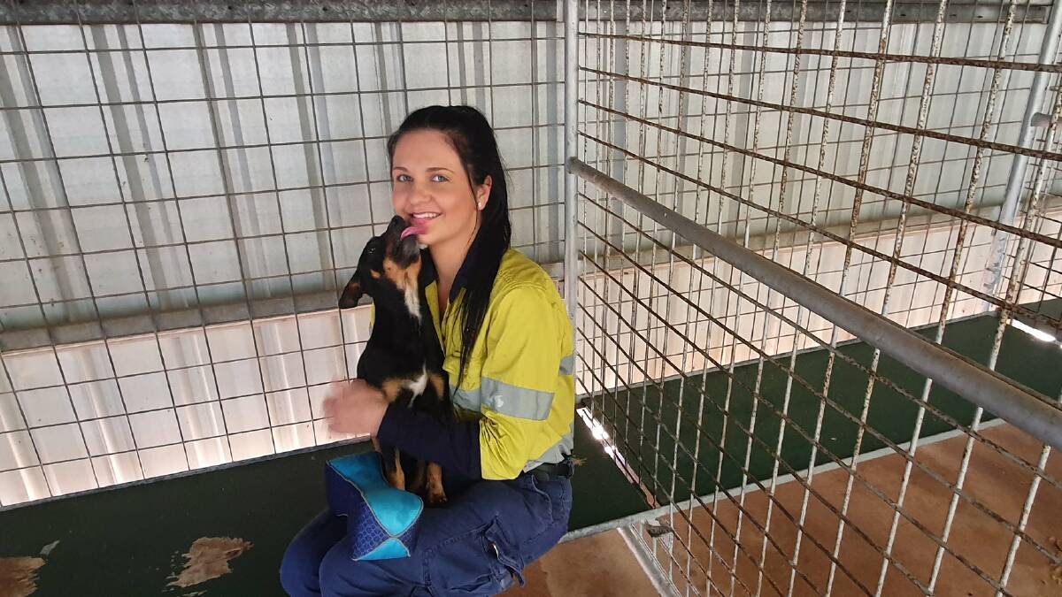 HELP: Local Laws Ranger Avril Salisbury with a Daschund-cross at the Animal Management Facility in June. Photo supplied.