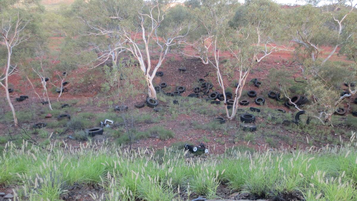  Scores of tyres recently illegally dumped in bushland on Mount Isa's outskirts.
