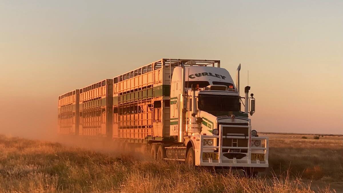 Stephen Curley says Cloncurry is "positionally perfect" for the transportation of cattle. Photo supplied.