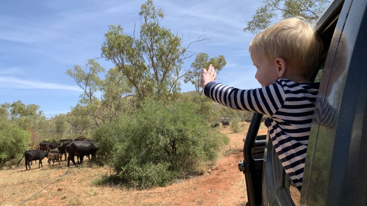 You don't get this at daycare, saying hello to the cows while mustering. Photo: Samantha Campbell.