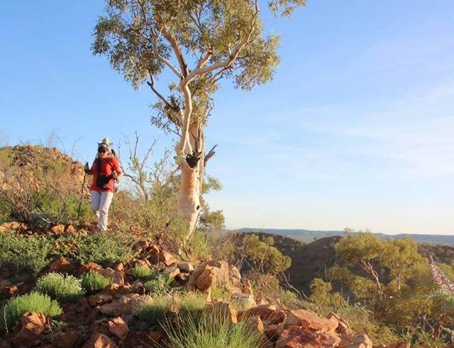 EPIC JOURNEY: Rowena Murphy and Liz Debney will leave Cloncurry on June 28. 