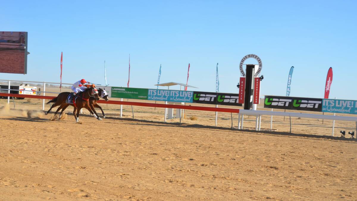 CLOSE ONE: Boggoms with Terry Treichel aboard (obscured on rails) finished second in last year's Birdsville Cup. Photo: Derek Barry