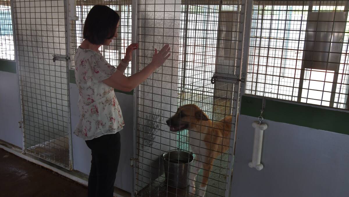 Attorney-General Yvette D'Ath was taken with many of the dogs and cats housed at Mount Isa's Animal Management Facility on her visit on Tuesday.