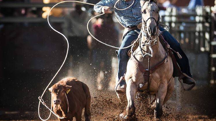 Rope and Tie is featured in most Queensland Rodeos.