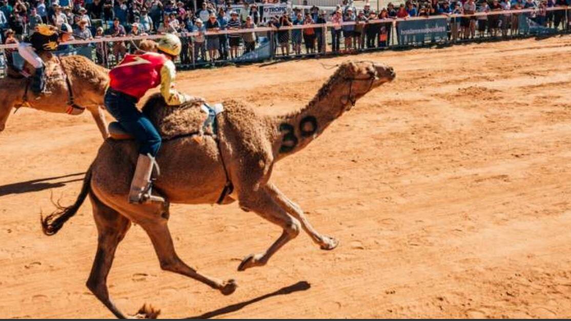 Boulia Camel Races releases program schedule