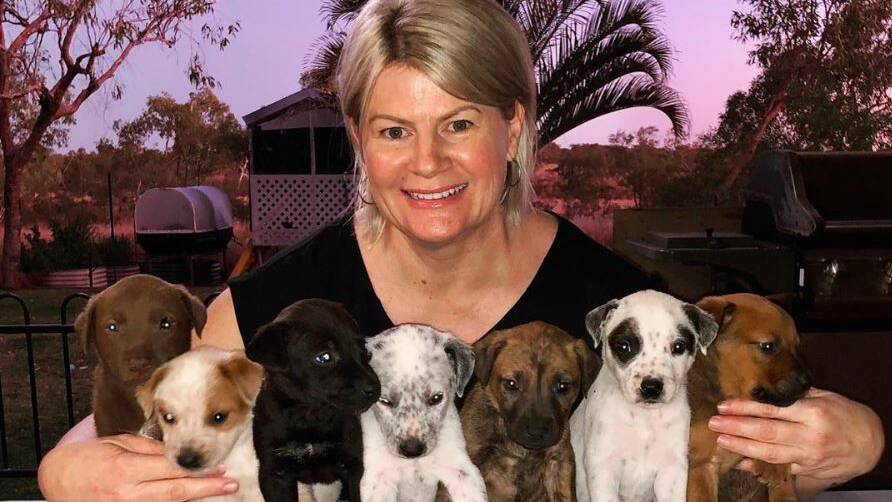 Sharon Sellings is providing foster rescue care for seven Paws Hoofs and Claws dogs. Photo mixingwithshaz (Instagram).