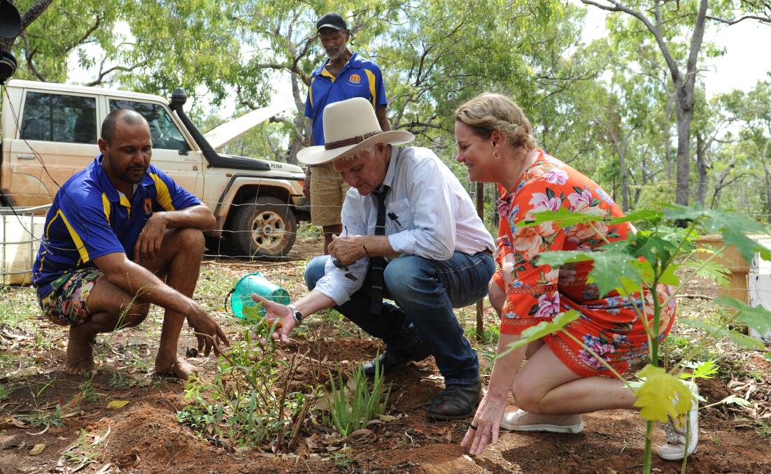 Bob Katter joined Mayor Kyle Yanner, Cr Bobby Thompson, and Dieticians Australia President Tara Diversi to plant a mandarin tree in an established backyard garden on Mornington Island.