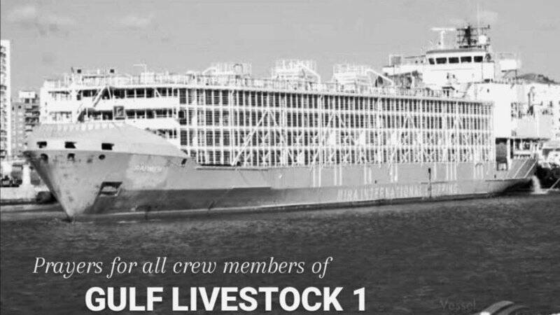 A petition has started to continue the search for Gulf Livestock 1.
