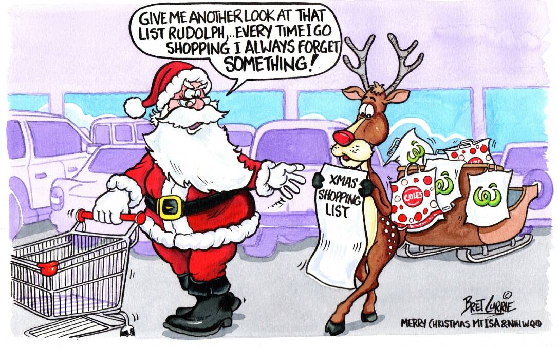 REUSABLE: One last cartoon for 2018 in the bag from Bret Currie, if only he can remember to take them to the shops! Happy Christmas, Bret.