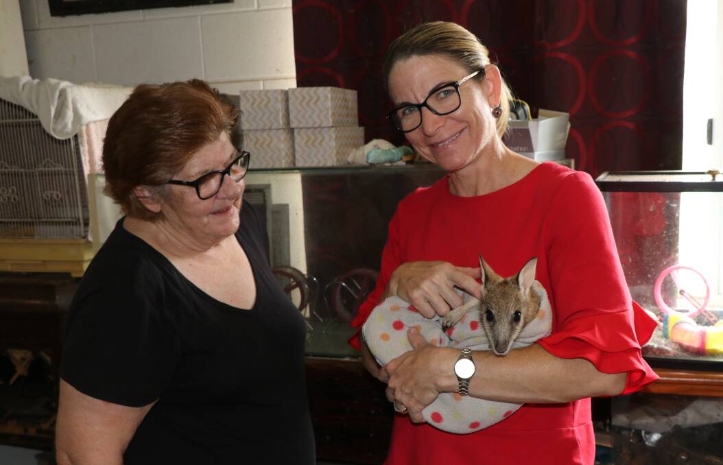2019 Citizen of the Year Joyce Brogden and Mayor Joyce McCulloch with one of Mrs
Brogden’s charges, a rock wallaby joey.