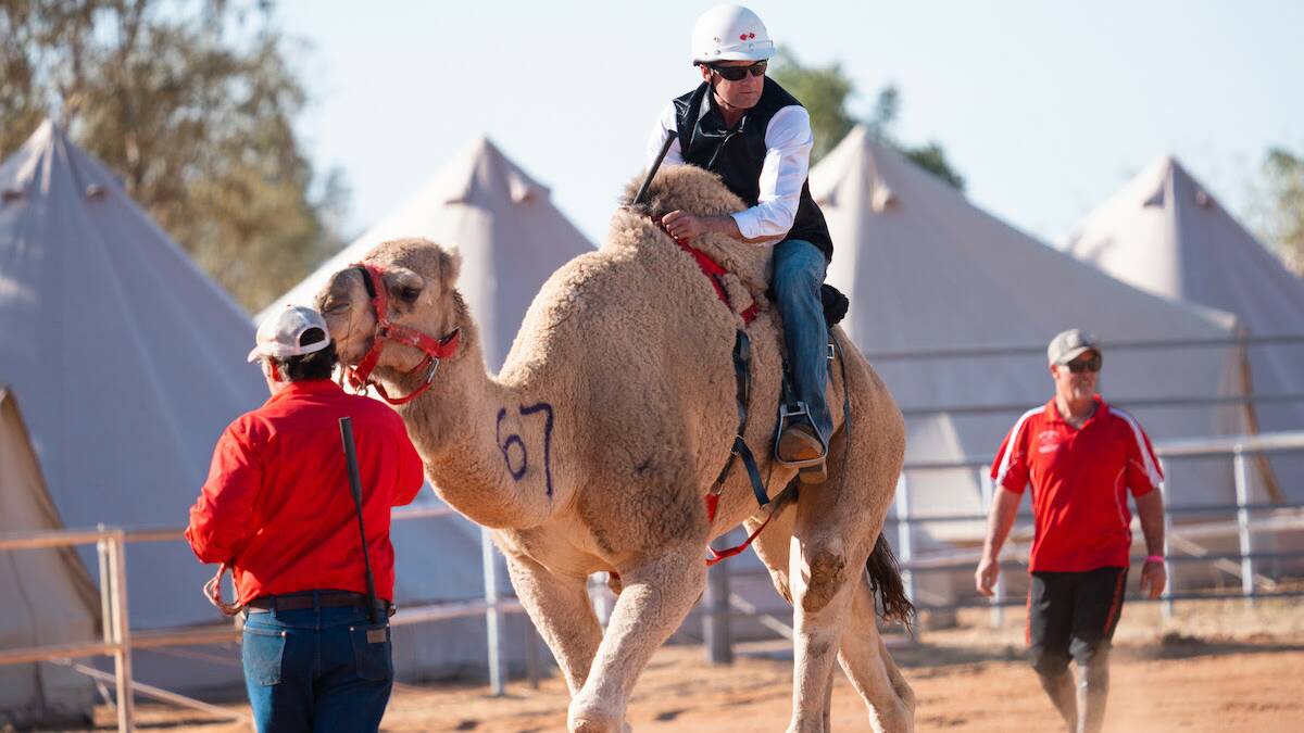Boulia Camel Races set for 25th anniversary