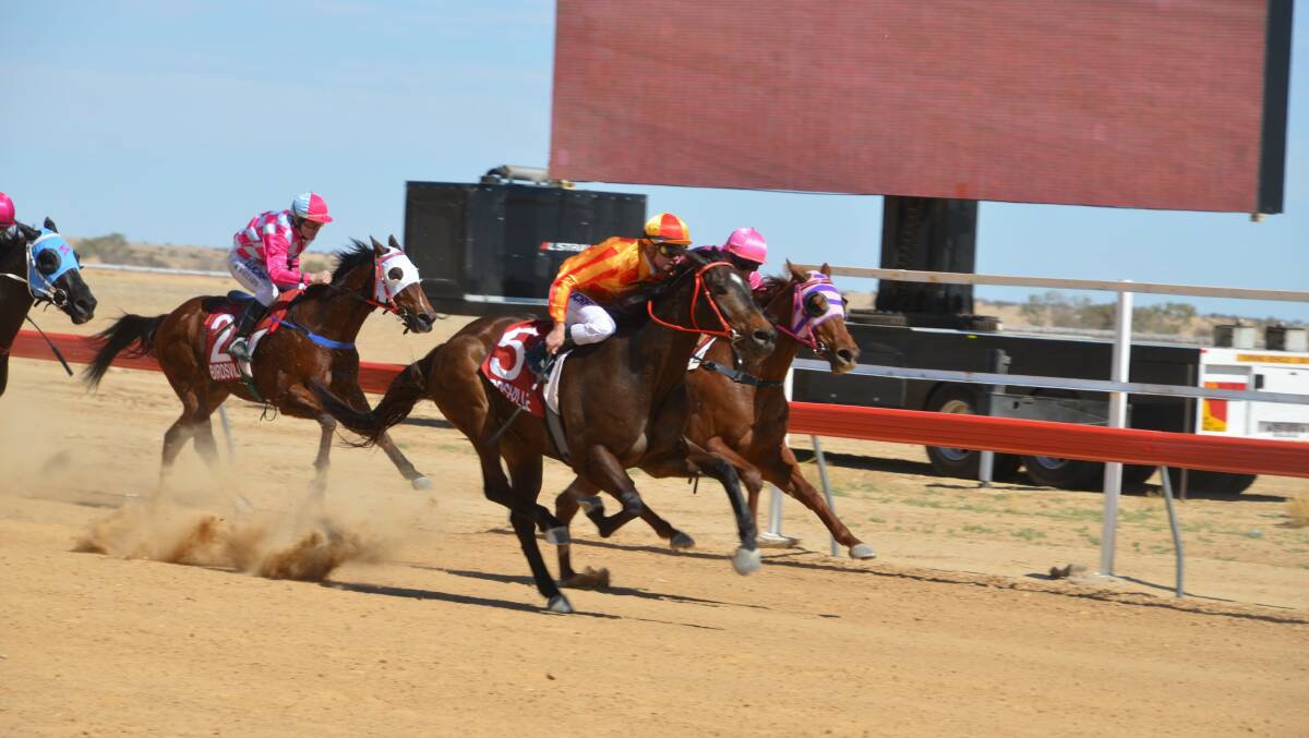 RACE FIELD: Mount Isa is dominant in this year's Birdsville races with eight stables fielding horses across 13 races this weekend. Photo: Derek Barry