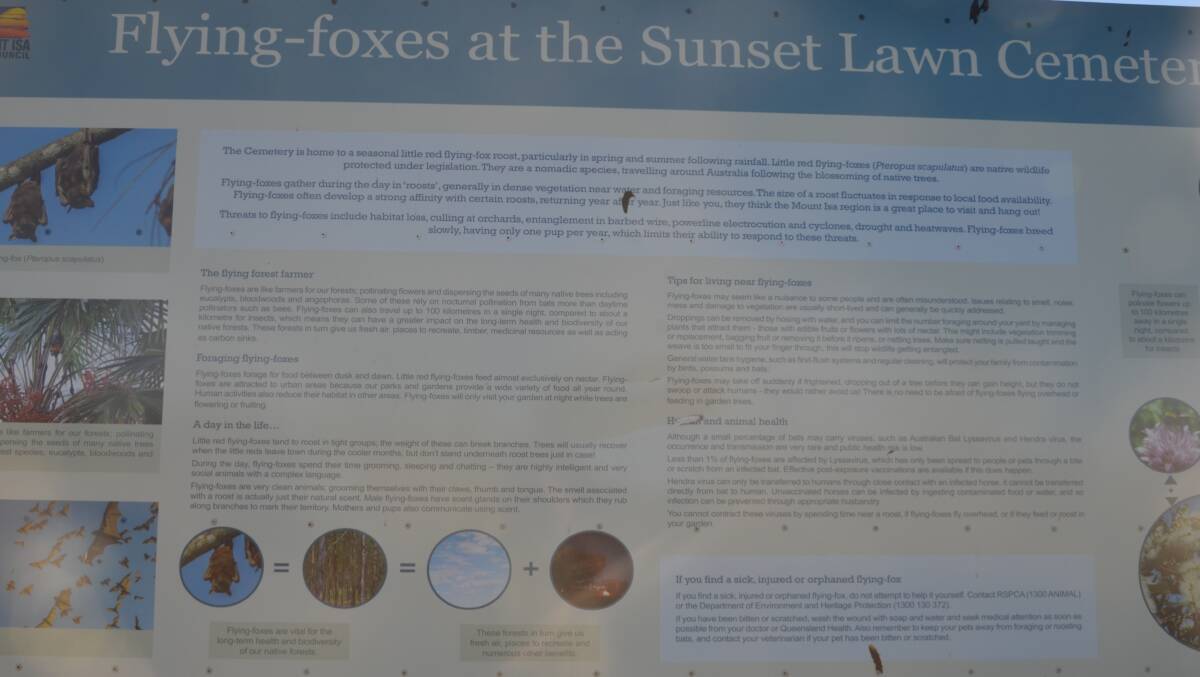 This sign at the cemetery provides information about the flying foxes.