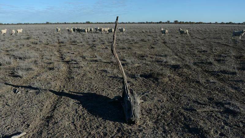Townsville Rotary is helping out communities in North West Queensland still in the grip of drought.