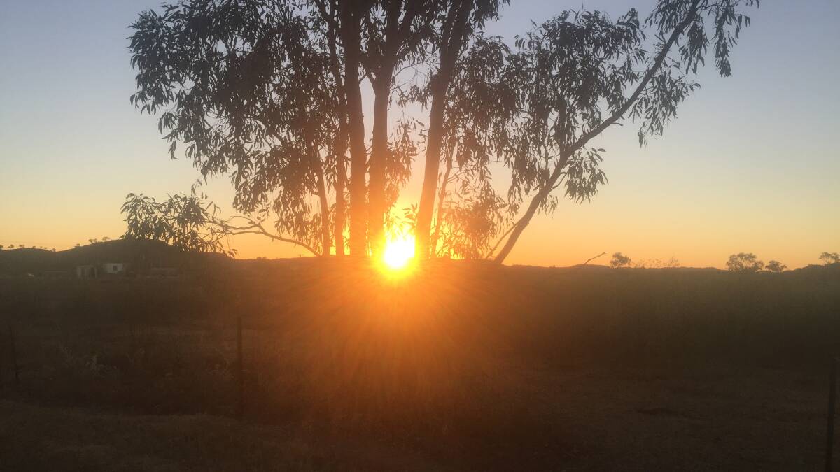 DUSKY: The sun sets behind the horse paddocks in Mount Isa on another glorious winter's day in the North West. Photo: Derek Barry