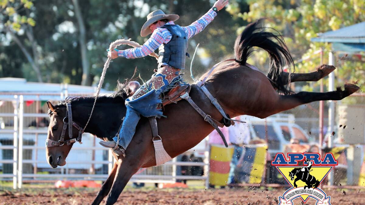 Tom Webster from Injune had the top score in saddle bronc at Taroom on Saturday. Photo Barry Richards Photography