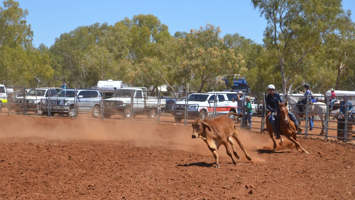COW TOWN: The Dajarra rodeo and campdraft returns to the North West next weekend (September 21-23).