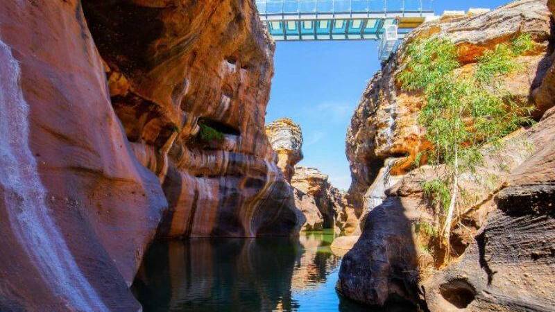 The new glass bridge hovers over Cobbold Gorge for the 2020 tourist season. The Gorge won best Outback Tourist Attraction this year.