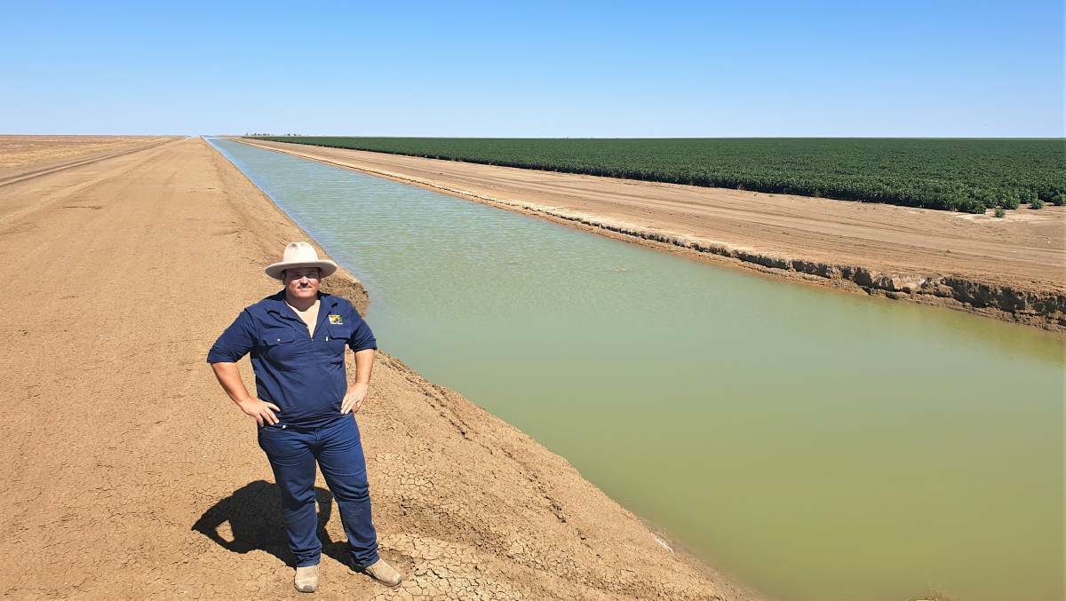 Lucas Findley admires the pilot crop of cotton at Etta Plains, north of Julia Creek. Photo: Sally Gall.