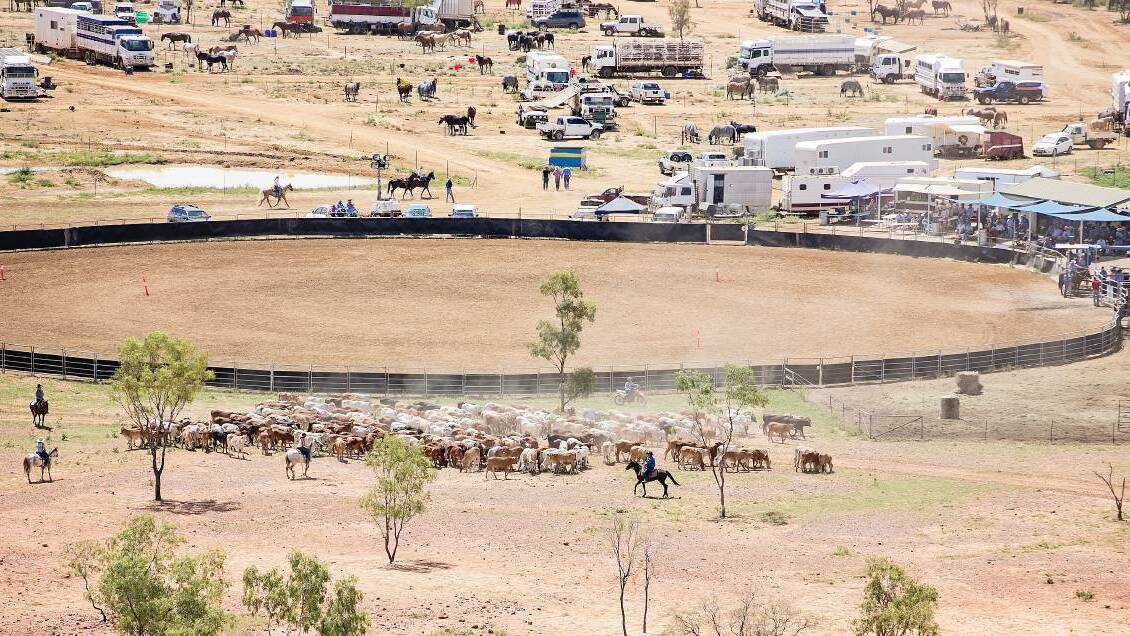 Yelvertoft Rodeo to start Friday with CovidSafe plan in place