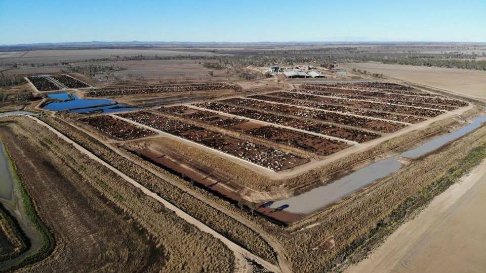 An aerial view of the Lemontree Feedlot at Millmerran, which was targeted by the Animal Activists Collective last month.