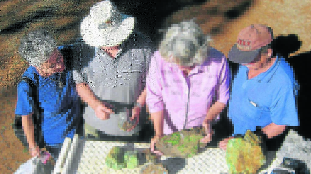 Gem fossickers at a past Rockhana in Cloncurry. Photo: file