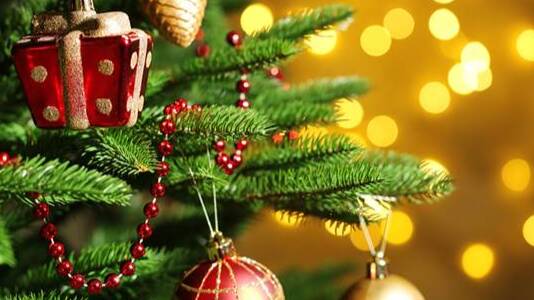 McKinlay Shire to host Christmas Tree celebrations