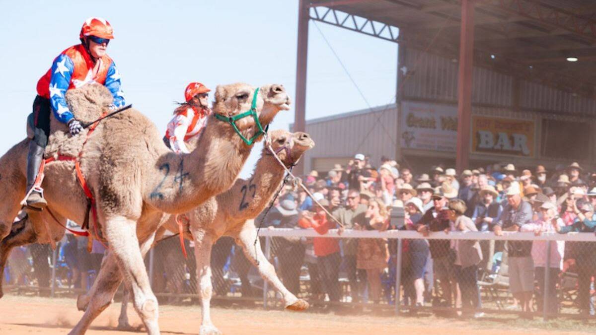 Boulia Camel Races is celebrating a big anniversary in 2022 and you are invited.