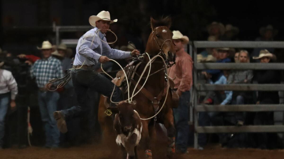 Charters Towers cowboy Darcy Kersh in action at Nebo Rodeo.