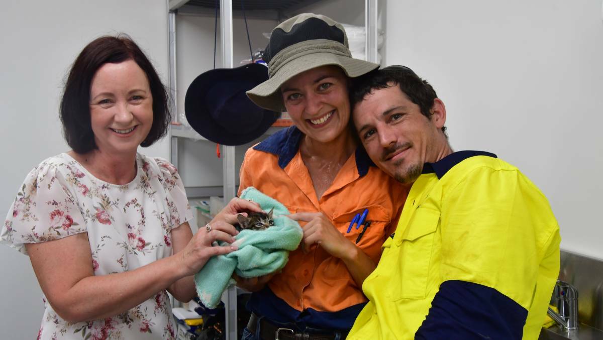 Attorney-General Yvette D'Ath pats Sparky the kitten with new owners Jennifer and Matthew Crombie at the Mount Isa Animal. Photo: Derek Barry