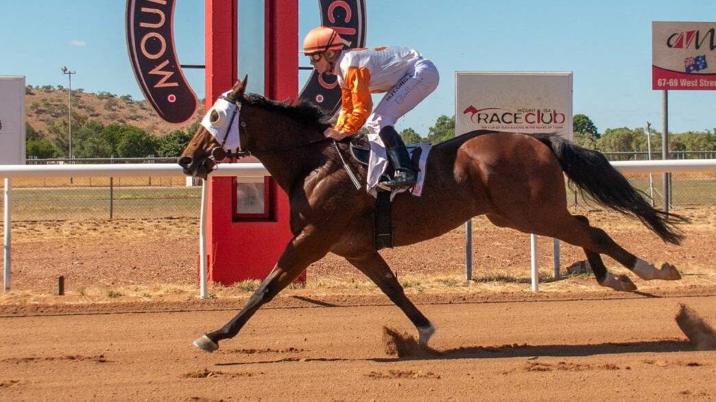 Mount Isa's Tango Rain is favourite to win the Battle of the Bush at Eagle Farm on Saturday.