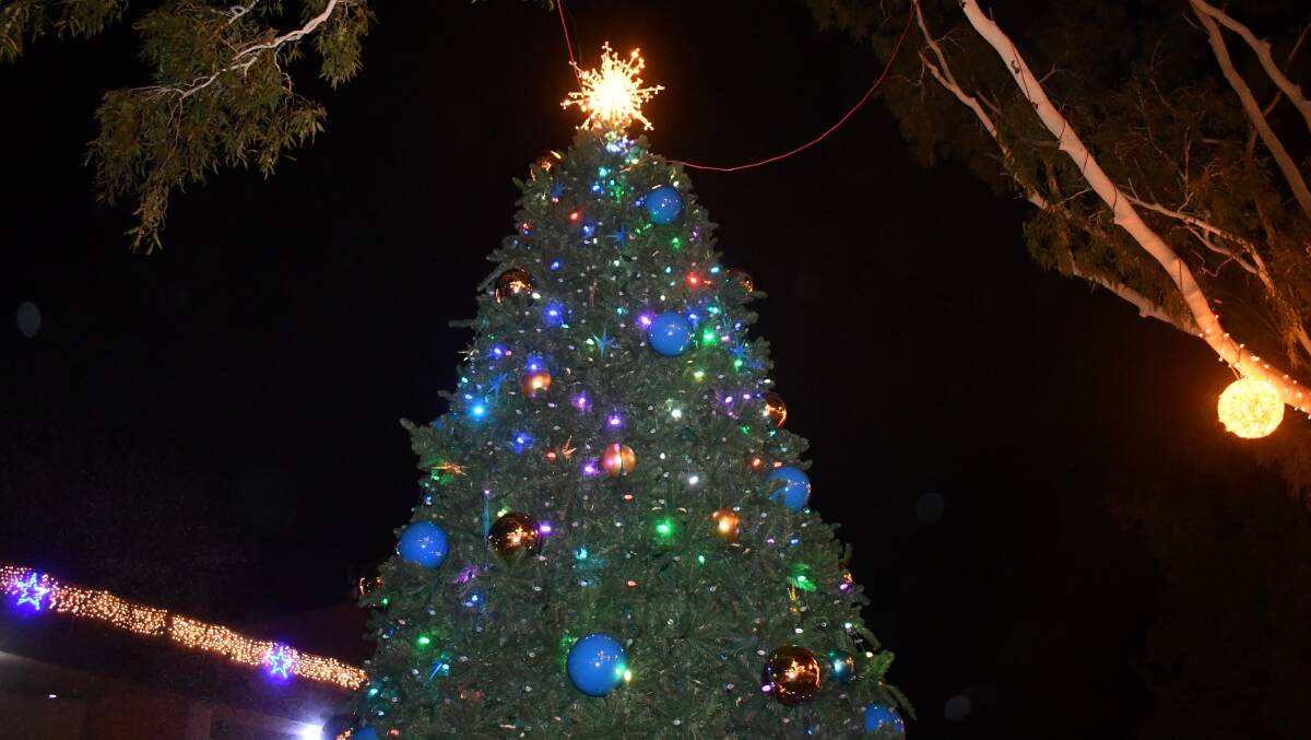 FESTIVE SEASON: The Mount Isa Christmas tree was switched on last week. 