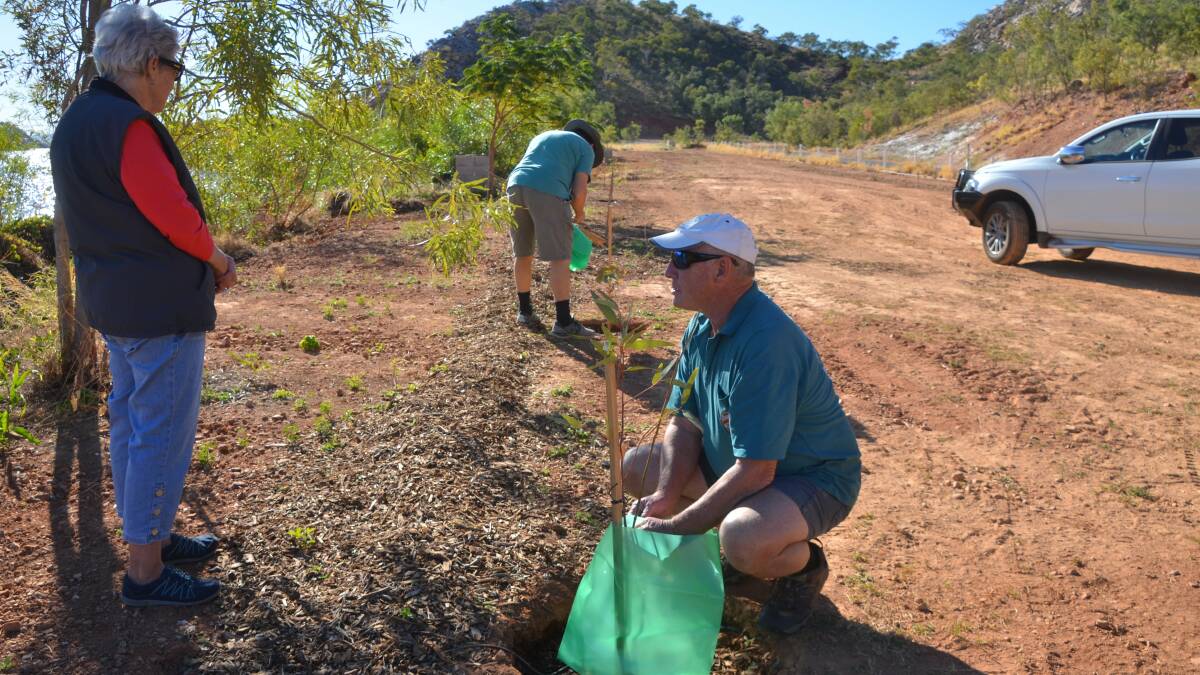 Mount Isa Landcare help new trees at Lake Moondarra