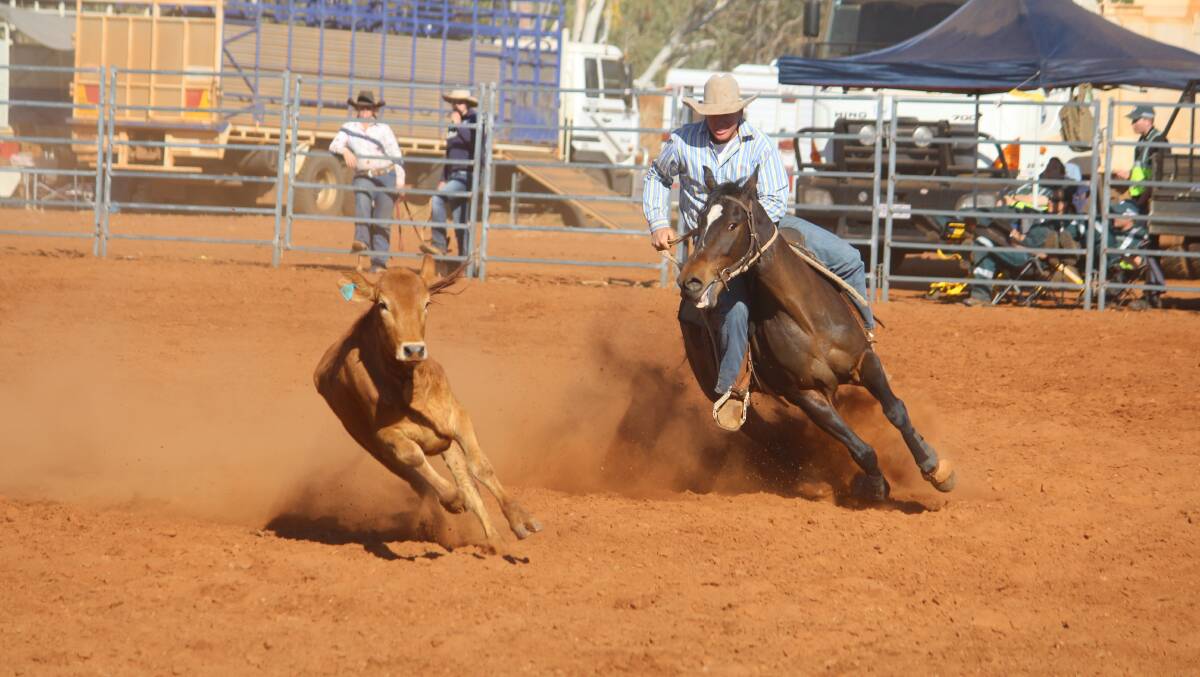 GIVING CHASE: Anthony McMillan of Cloncurry, on Denise, in action at the 2015 Dajarra campdraft. Photo: Andrea Crothers.