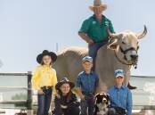 Buckles, belts and bulls are taking over Longreach this weekend for the first ever Road to Rodeo.