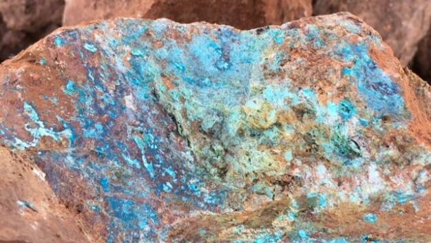 Samples of Cobalt (1,610 ppm), Cooper (32.7%) & Gold (33.4g/t) ore from Mt Freda. Photo: Supplied.